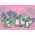 Derform MATA NA STOL PP 290X400 KOALA 10 DERF 13306046 5901130104031