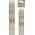 Starpak OLOWEK Z GUM HB TRJ STK PBH OP4SZT 36/432 W 13332614 5904335838589