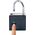 Schwaiger Schwaiger Fingerprint Schloss m. Stahlbügel + Notfallschlüss 13333068 4004005715958