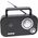 Radio Tiross Radio przenośne TS-462 Tiross 13335472 5901698509316