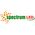 Wojnarowscy LED Świecowa E27 230V 4W WW Spectrum WOJ13036_4W 13337069 5904433134699