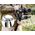 JJC Szelki Uchwyt Pasek Mocowanie Do Gimbala Dji Rs 3 Mini / Pro Rs 2 Rsc 2 Jjc / Ns-dst 13340237 6950291588968