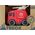 Mega Creative AUTO RATUNK CARTOON 14X10X6 MIX3 MC WB 96/192 13433717 5905523603545