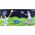Mega Creative RAKIETKI AKC 48X23X6 MC PUD 24/48 13455129 5905523622713