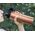 Berlinger Haus SPORTOWA BUTELKA TERMICZNA 720ML BERLINGER HAUS ROSE GOLD BH-7764 13472579 5999108436345