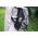 Berlinger Haus SPORTOWA BUTELKA TERMICZNA 720ML BERLINGER HAUS MOONLIGHT BH-7767 13472585 5999108436376