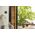SCHNEIDERE Lampka nocna Schneider Sedna Design/Elements SDD111906 Design & Elements 13477184 3606481478528