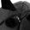 DOGGY R1 KITTY HEAD CZARNY 13558373 5902414547865