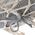 Hobbygarden PODUSZKA STORK DUŻA HOUSE POPIEL 13558564 5902414550827