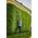 Greenworks 60V Nożyce do żywopłotu na wysięgniku 51cm GD60PHT51 13572874 6952909070490
