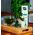 K2 K2 PATYCZKI ZAPACHOWE ERLA SATO 50ML GOOD MORNING 50ML 13576740 5906534019523