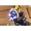 Dewalt DEWALT ZAKRĘTARKA UDAR.18VDCF860NT 208Nm TSTAK 13615439 5035048808658