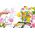 Lisciani I'm a Genius Moje pierwsze perfumy 80625 LISCIANI 13674324 8008324106691