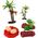 LeanToys Zestaw Figurek Dinozaurów z Akcesoriami 21 Sztuk 13674798 5905515355520