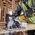Dewalt DEWALT PIŁA TARCZ.115x25z ATB DREWNO Z GWOŹDZIAMI DO DCS571 13683766 5054905255992