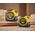 Stanley Miary 5m+8m x 31.7mm FM BLADEARMOR,dwupak 13684090 3253560317256