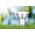 Paulmann Źródło światła LED 3x GU10 ECO LINE 2.5W 450lm 3000K 230V srebrny / szkło 13684397 4000870291931