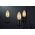 Paulmann Źródło światła LED 1879 świeca  DIM 4.9W 450lm E14 1800K 230V złoty / szkło 13684407 4000870291917