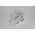 Kabel USB Maxximus USB-A - USB-C 1 m Biały 13839175 5901313413660