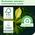 Tork Tork - Serwetki lunchowe, 1-warstwowe, naturalne - Universal 13840336 7322541052588
