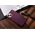 OEM Futerał FRAME do IPHONE 14 fioletowy 13844056 5903396198205