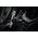 ForCell FORCELL F-Grip GuardianAV uchwyt samochodowy do kratki wlotu czarny 13845309 5903396236785
