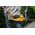 Dewalt 54v xr fv nożyce do żywopłotu 65cm 13850727 5035048748473