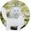 Figurka Mega Creative ZWIERZ DOMOWE 4-8CM MIX12 MC DISP 36/720 13892821 5905523620795