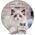 Figurka Mega Creative ZWIERZ DOMOWE 4-8CM MIX12 MC DISP 36/720 13892821 5905523620795