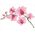 DIAMOND DOTZ Haft diamentowy Diamond Dotz Orchidea 49x39cm DD6034 13912988 4895225921768