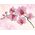 DIAMOND DOTZ Haft diamentowy Diamond Dotz Orchidea 49x39cm DD6034 13912988 4895225921768