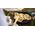 Petromax Wielofunkcyjny Grill Petromax Atago 13925469 4250435701218