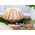 FORMA SILIKONOWA DO PIECZENIA BABKI E-6209 13934101 5907768762094