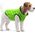 DOGGY M 43 KURTKA UNI JASNOZIELONA 13940796 5902414550650