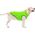 DOGGY L 55 KURTKA UNI JASNOZIELONA 13940798 5902414550681