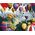 Norimpex Malowanie po numerach BRUSHME, 40x50 cm, kolorowe balony, 1 szt. 13977342 5901498127741