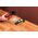 Retlux RDT 100 14032643 8590669303373