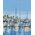 Twoje Hobby Malowanie po numerach BRUSHME, 40x50 cm, jachty, 1 szt. 14042721 5901498127772