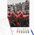 Twoje Hobby Malowanie po numerach BRUSHME, 40x50 cm, tulipany Amsterdamu, 1 szt. 14042730 5901498128199