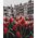 Twoje Hobby Malowanie po numerach BRUSHME, 40x50 cm, tulipany Amsterdamu, 1 szt. 14042730 5901498128199