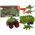 LeanToys Pojazd z Motywem Dinozaura Przyczepa 4 Sztuki Dinozaurów LEAN Toys 14048251 5905679076057