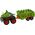 LeanToys Pojazd z Motywem Dinozaura Przyczepa 4 Sztuki Dinozaurów LEAN Toys 14048251 5905679076057