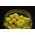 Baton Baits Baton Baits Poczwarki Wafters Ananas 14064123 5904158308122