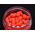 Baton Baits Baton Baits Poczwarki Wafters Truskawka 14064129 5904158308559