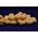 Baton Baits Baton Baits Poczwarki Wafters Słodka Kukurydza 14064137 5904158308139