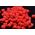 Baton Baits Baton Baits H6mm Wafters Truskawka 14064149 5904158308917