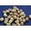 Baton Baits Baton Baits Poczwarki Tonące Czosnek/Wątroba 14064160 5904158308009