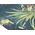 Hobbygarden AMANDA SPRESTI˝ 1+2 ZIELONA TRAWA 14081777 5902414519787