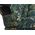 Hobbygarden PODUCHY LEO 1+1 3D ZIELONA TRAWA 14081857 5902414527737
