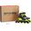 Rolki Spokey Rolki damskie limonkowe Spokey MrsFIT 14084506 5905339407535
